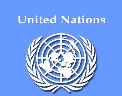 20120126-growing-role-ngos-united-nations